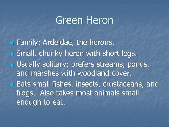 Green Heron n n Family: Ardeidae, the herons. Small, chunky heron with short legs.
