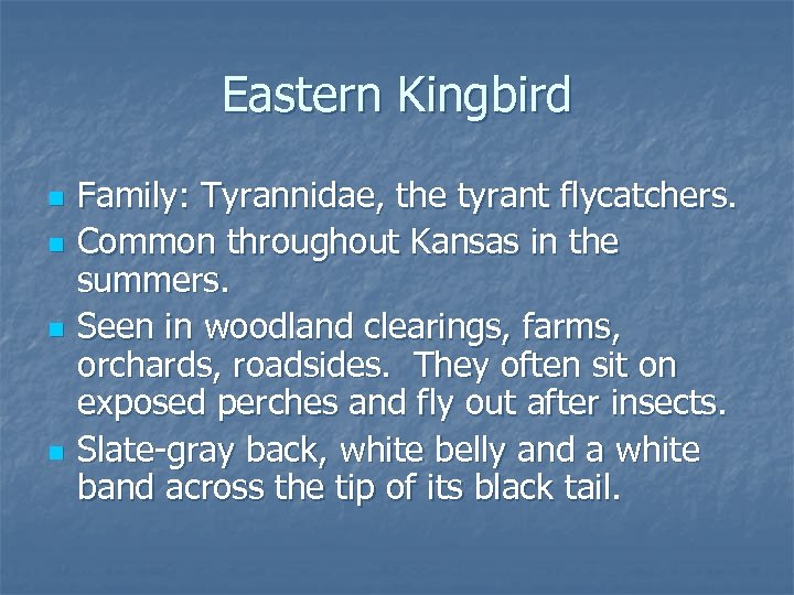 Eastern Kingbird n n Family: Tyrannidae, the tyrant flycatchers. Common throughout Kansas in the