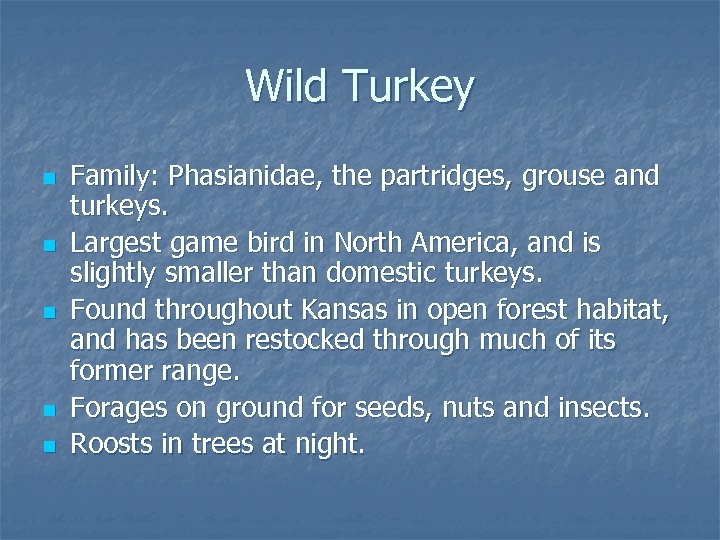 Wild Turkey n n n Family: Phasianidae, the partridges, grouse and turkeys. Largest game