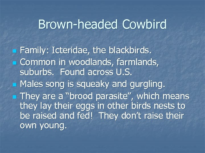 Brown-headed Cowbird n n Family: Icteridae, the blackbirds. Common in woodlands, farmlands, suburbs. Found