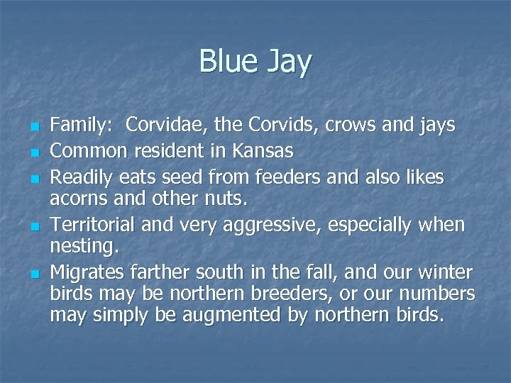 Blue Jay n n n Family: Corvidae, the Corvids, crows and jays Common resident