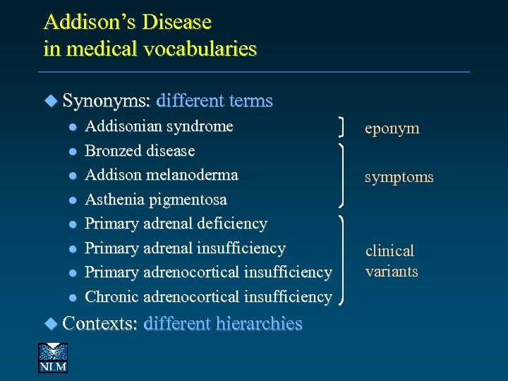 Addison’s Disease in medical vocabularies u Synonyms: different terms l l l l Addisonian