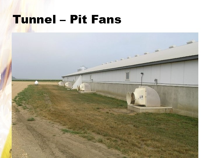Tunnel – Pit Fans 