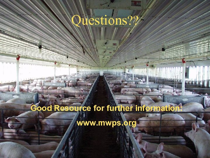 Questions? ? Good Resource for further information: www. mwps. org 