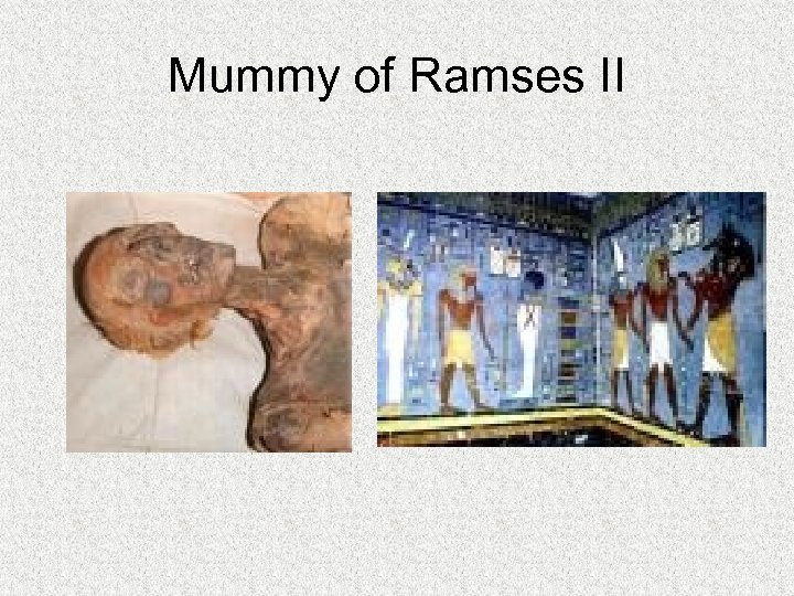 Mummy of Ramses II 