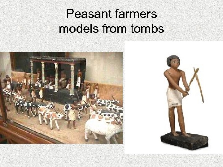 Peasant farmers models from tombs 