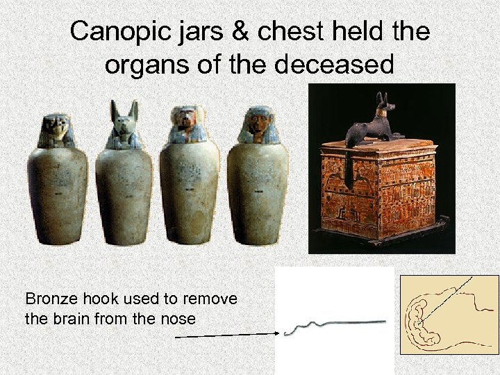 Canopic jars & chest held the organs of the deceased Bronze hook used to