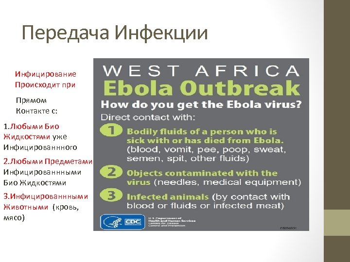 Передача Инфекции Инфицирование Происходит при Прямом Контакте с: 1. Любыми Био Жидкостями уже Инфицированнного