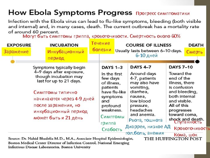 Прогресс симптоматики Могут быть симптомы гриппа, кровоточивости. Смертность около 60% Течение Заражение Инкубационный болезни