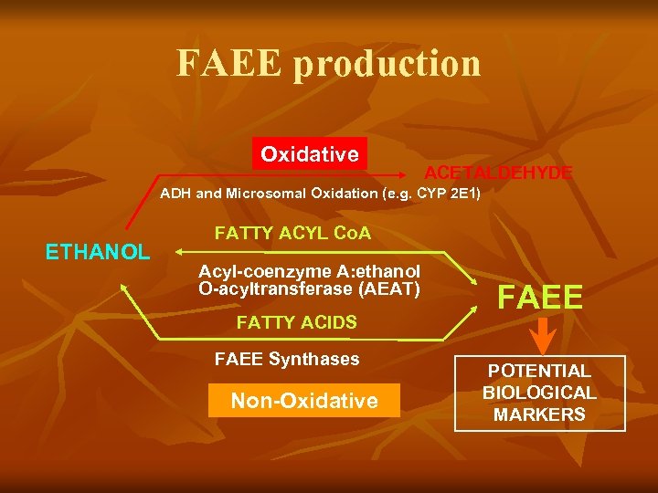 FAEE production Oxidative ACETALDEHYDE ADH and Microsomal Oxidation (e. g. CYP 2 E 1)