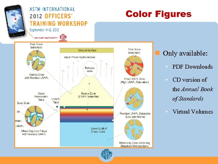 Color Figures n Only available: • PDF Downloads • CD version of the Annual
