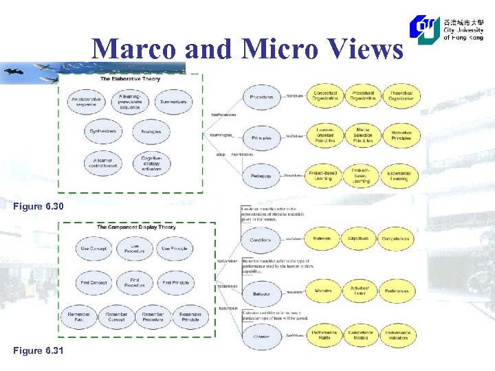 Marco and Micro Views Figure 6. 30 Figure 6. 31 