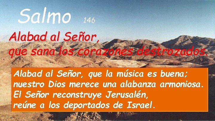 Salmo 146 Alabad al Señor, que sana los corazones destrozados. Alabad al Señor, que