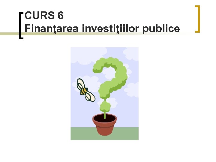 CURS 6 Finanţarea investiţiilor publice 