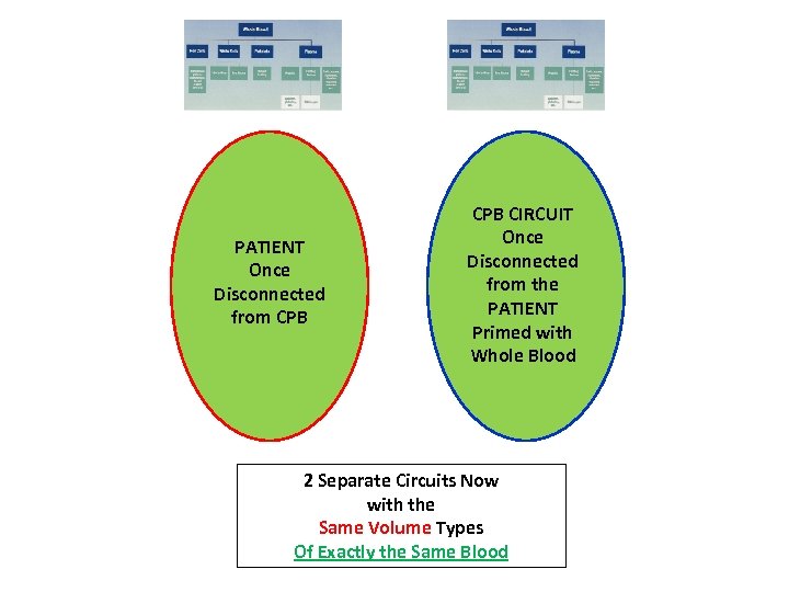 PATIENT Once Disconnected from CPB CIRCUIT Once Disconnected from the PATIENT Primed with Whole