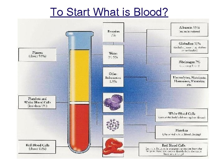 To Start What is Blood? 