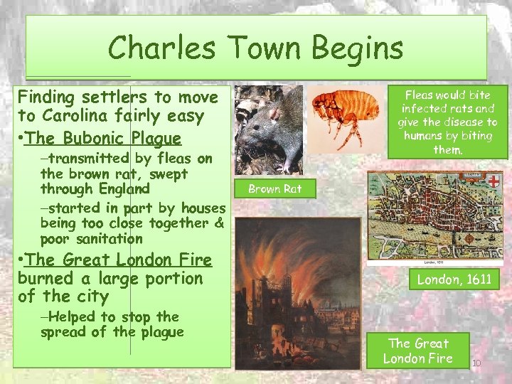 Charles Town Begins Finding settlers to move to Carolina fairly easy • The Bubonic