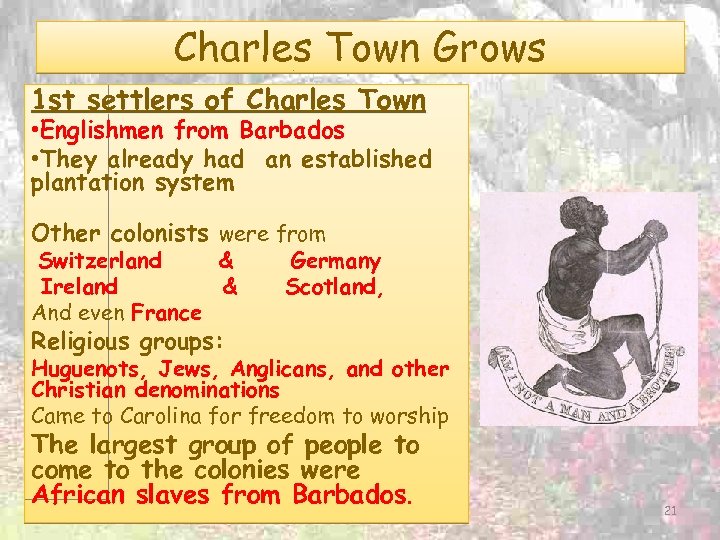 Charles Town Grows 1 st settlers of Charles Town • Englishmen from Barbados •