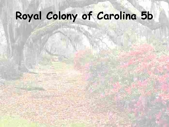Royal Colony of Carolina 5 b 29 
