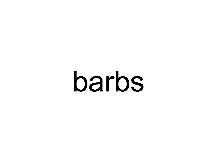 barbs 