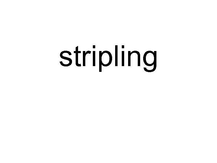 stripling 