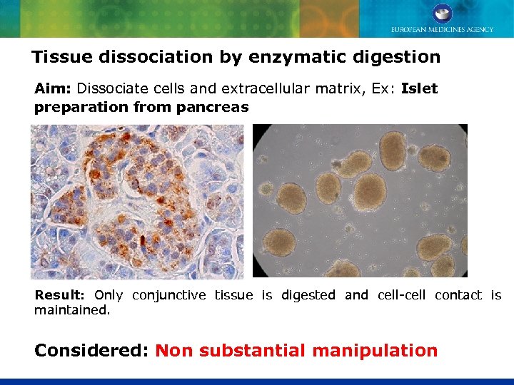 Tissue dissociation by enzymatic digestion Aim: Dissociate cells and extracellular matrix, Ex: Islet preparation