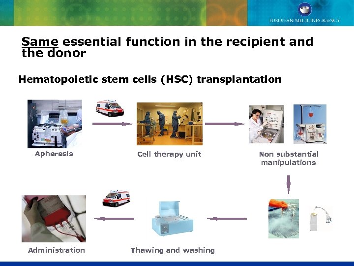 Same essential function in the recipient and the donor Hematopoietic stem cells (HSC) transplantation