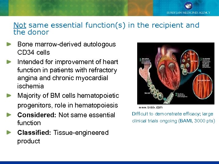 Not same essential function(s) in the recipient and the donor Bone marrow-derived autologous CD