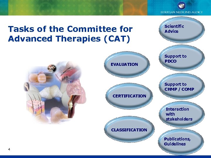 Tasks of the CAT Tasks of the Committee for Advanced Therapies (CAT) EVALUATION Scientific