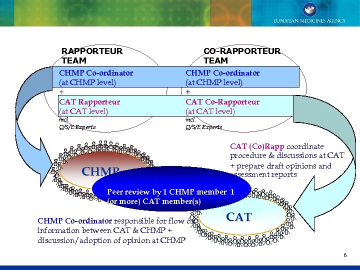 RAPPORTEUR TEAM CHMP Co-ordinator (at CHMP level) + CAT Rapporteur (at CAT level) incl.