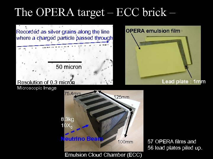 The OPERA target – ECC brick – Recorded as silver grains along the line