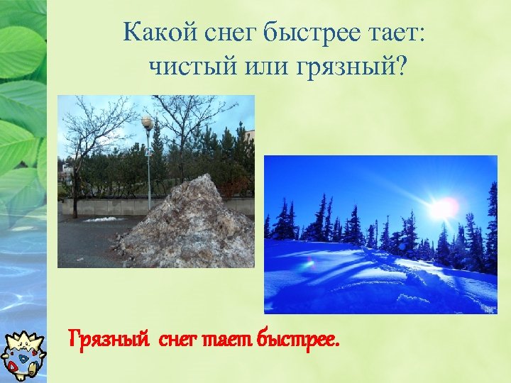 Какой снег быстрее тает: чистый или грязный? Грязный снег тает быстрее. 