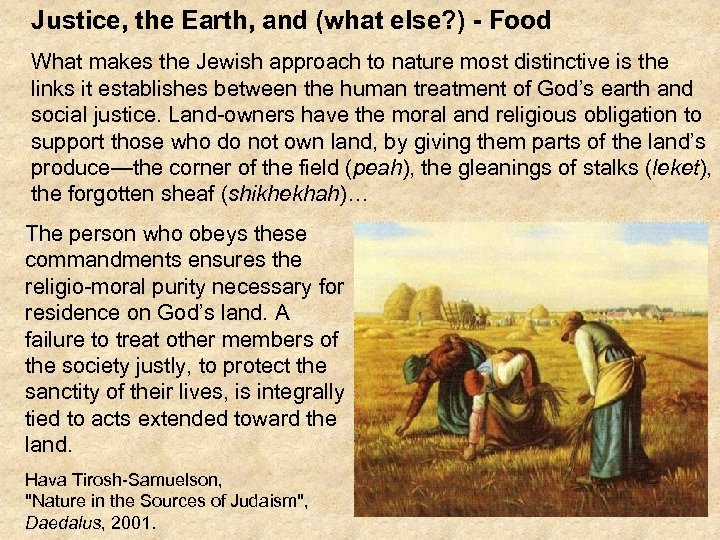 Justice, the Earth, and (what else? ) - Food What makes the Jewish approach