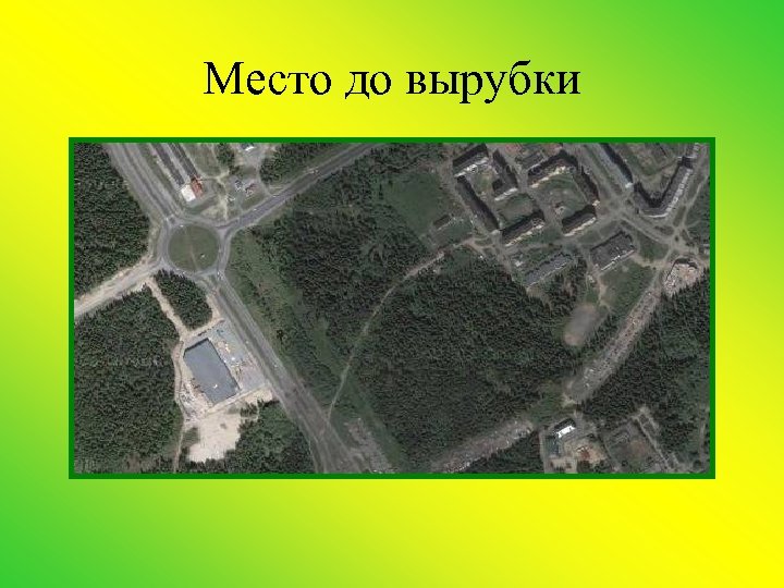 Место до вырубки 