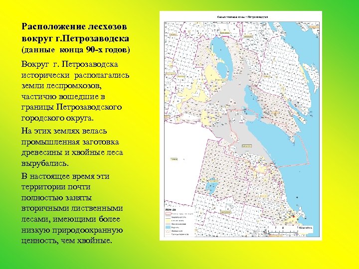 Расположение лесхозов вокруг г. Петрозаводска (данные конца 90 -х годов) Вокруг г. Петрозаводска исторически