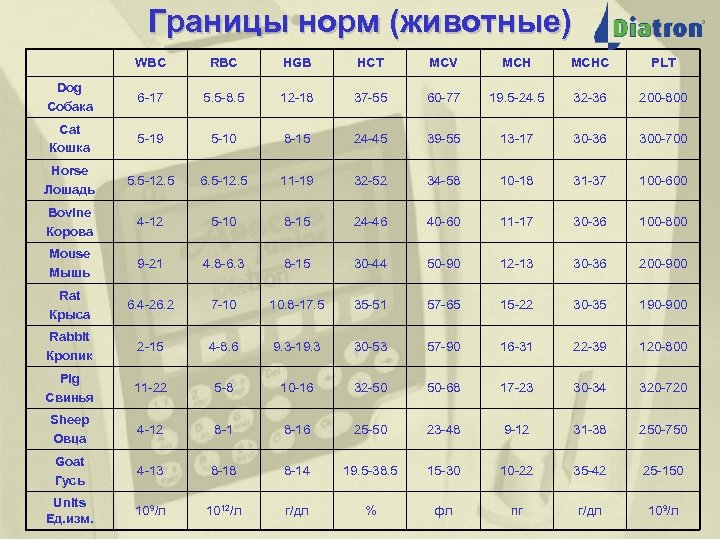 Границы норм (животные) WBC RBC HGB HCT MCV MCHC PLT Dog Собака 6 -17