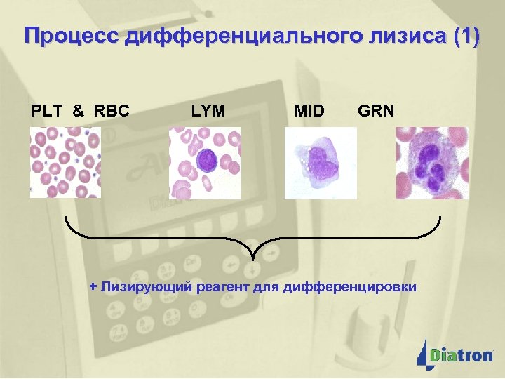 Процесс дифференциального лизиса (1) PLT & RBC LYM MID GRN + Лизирующий реагент для