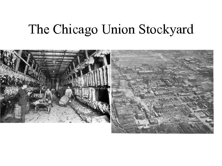 The Chicago Union Stockyard 