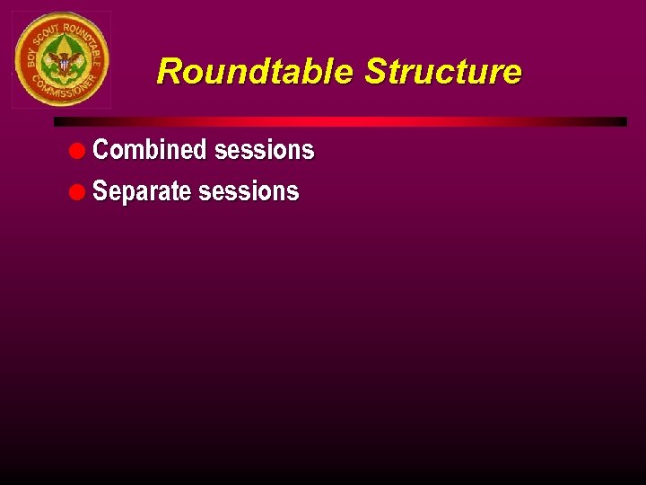 Roundtable Structure l Combined sessions l Separate sessions 