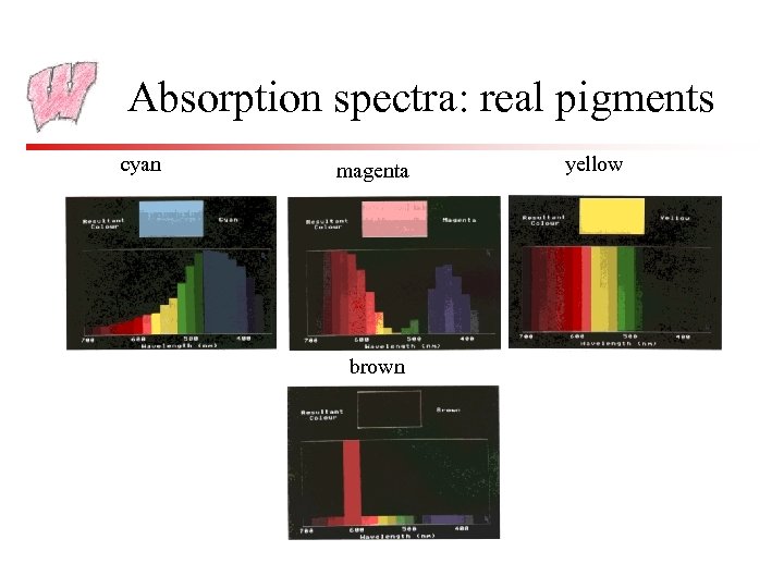 Absorption spectra: real pigments cyan magenta brown yellow 