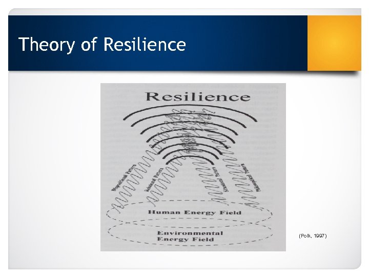 Theory of Resilience (Polk, 1997) 