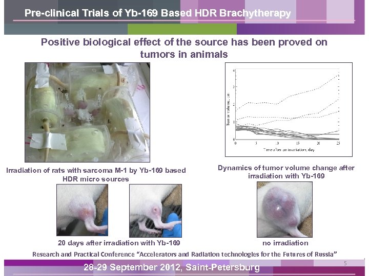 Pre-clinical Trials of Yb-169 Based HDR Brachytherapy Positive biological effect of the source has