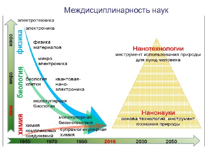 Междисциплинарность наук 