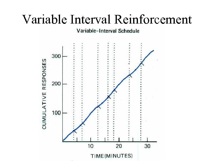 Variable Interval Reinforcement 