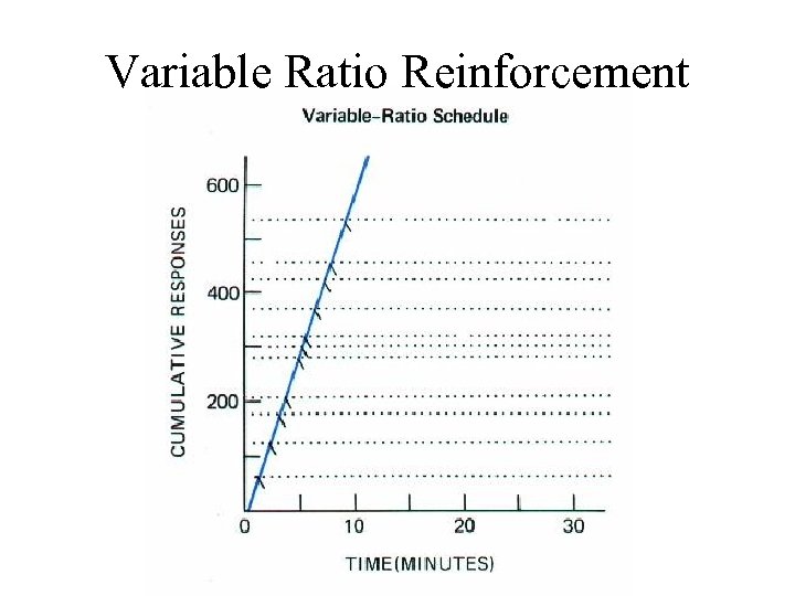 Variable Ratio Reinforcement 