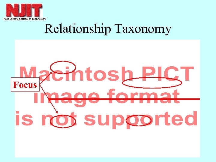 Relationship Taxonomy Focus 
