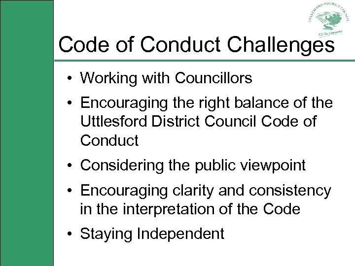 Code of Conduct Challenges • Working with Councillors • Encouraging the right balance of