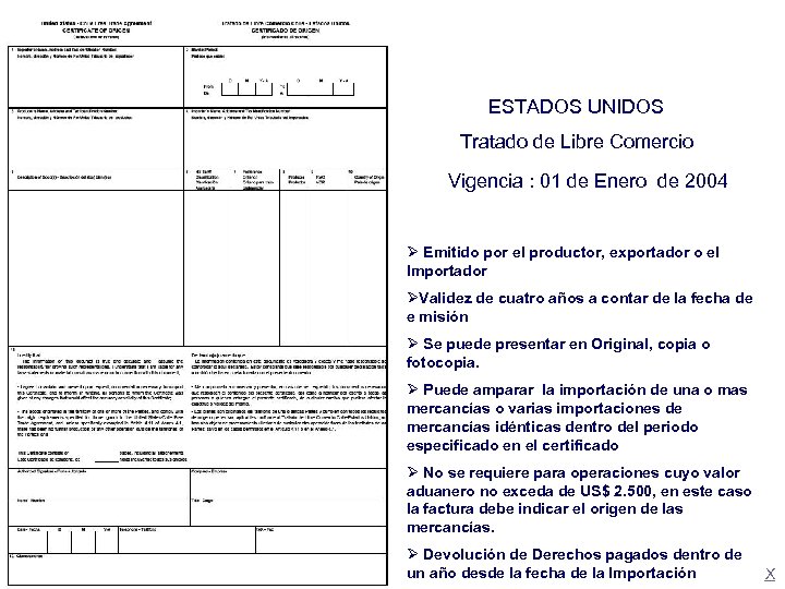 ESTADOS UNIDOS Tratado de Libre Comercio Vigencia : 01 de Enero de 2004 Ø