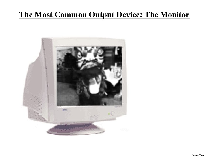 The Most Common Output Device: The Monitor James Tam 
