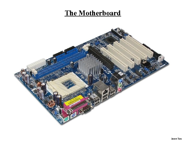 The Motherboard James Tam 